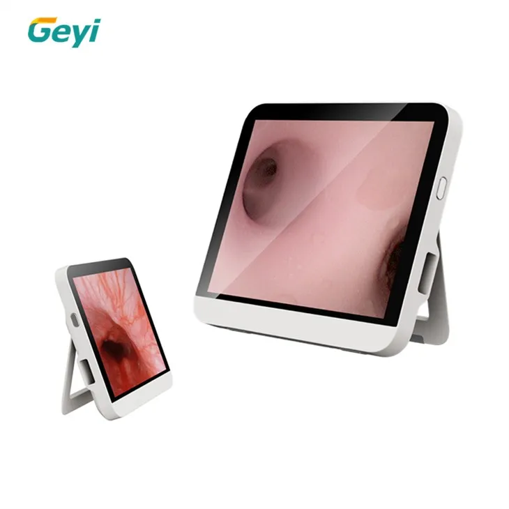 Portable Image Processor 12 1 Hd Tablet